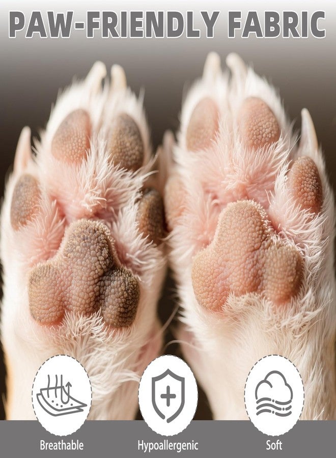 KOOLTAIL Dog Socks for Hot/Cold Pavement to Prevent Licking Paws,Dog Boots&Paw Protector for Hardwood Floors Anti Slip,Traction Control Booties for Small Medium Large Senior Dogs - Image 5